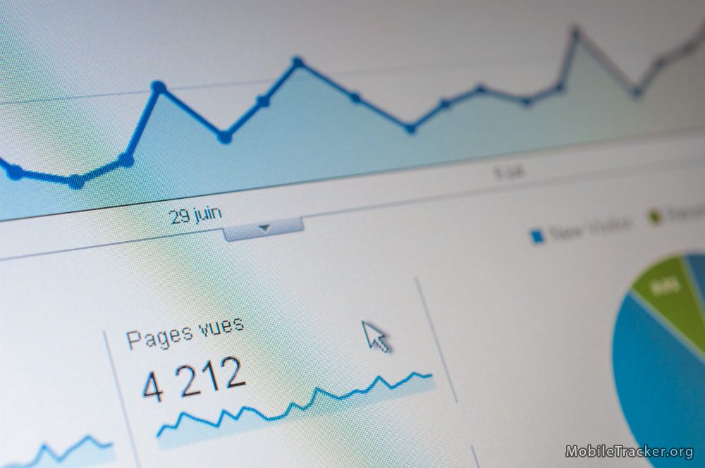 website statistics sample chart